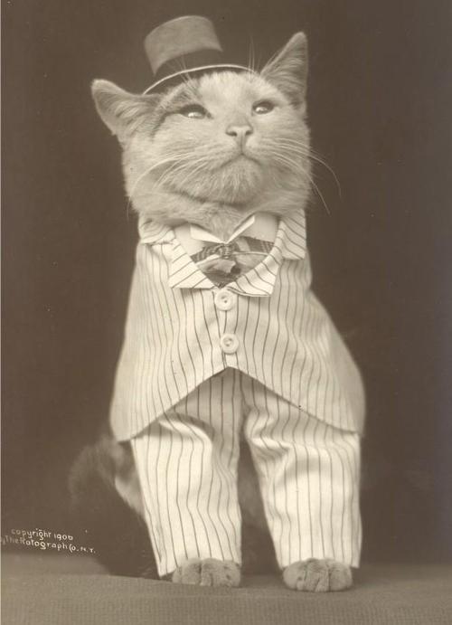 vintage-ancien-wtf-01