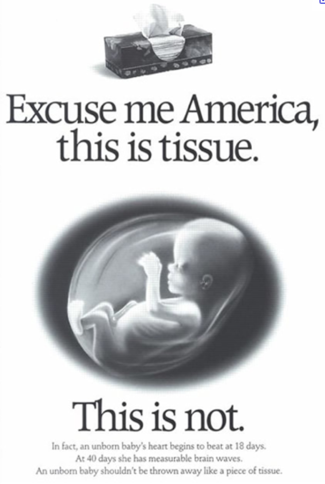 Persuasive Essay: Pro-Choice Abortion | b3ccadee