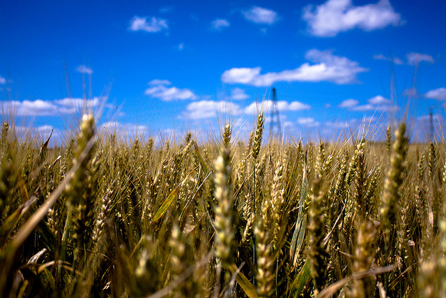agrirobot
