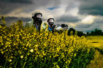 Quelques alternatives aux pesticides