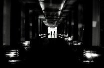 Propriété intellectuelle mutante