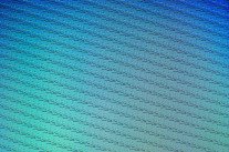 Loueurs professionnels et espions amateurs